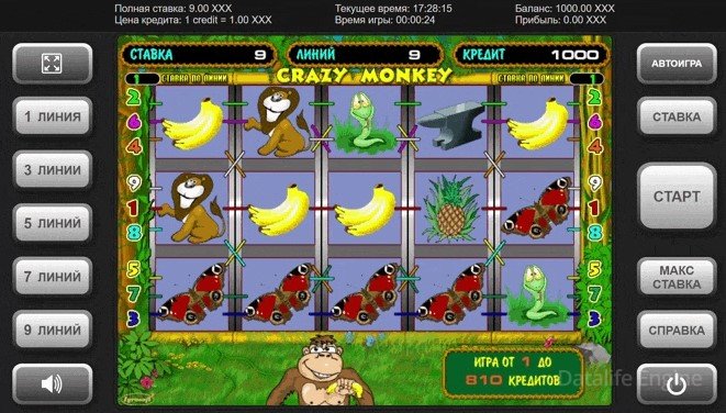 Crazy Monkey Gameplay