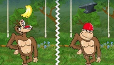 игра обезьянки