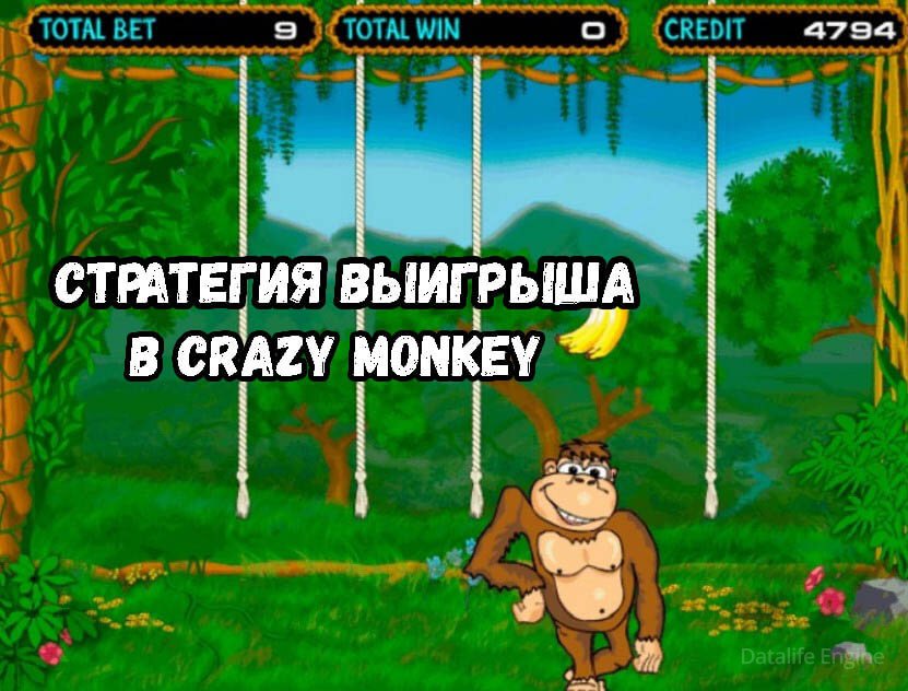 Стратегия выигрыша в crazy monkey