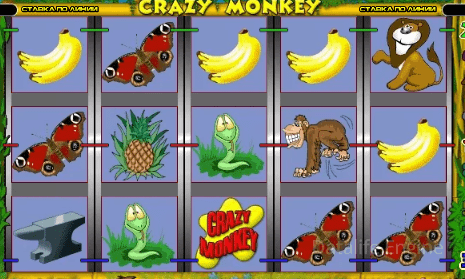 Crazy Monkey - тактика и стратегия выигрыша